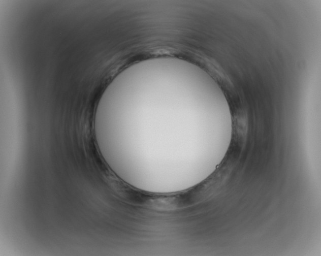 X0000113370422200909151031
