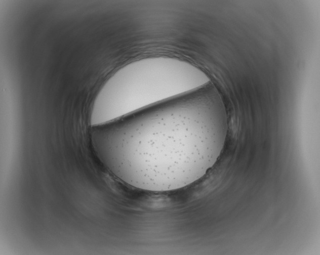 X0000113370424200909151030