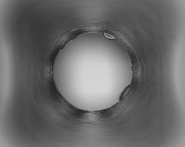 X0000113370425200909151030