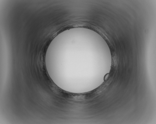 X0000113370426200909151030