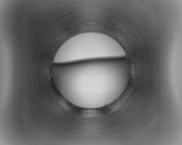 X0000113370428200909151030