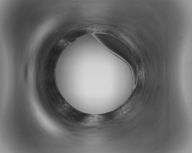 X0000113370429200909151030