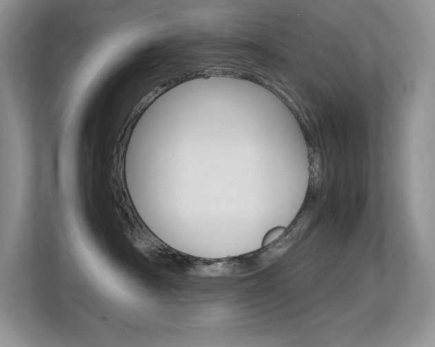 X0000113370430200909151030