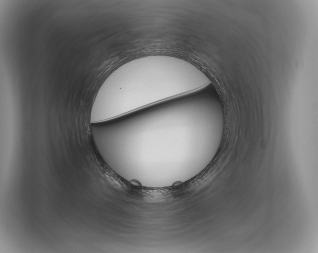 X0000113370432200909151030