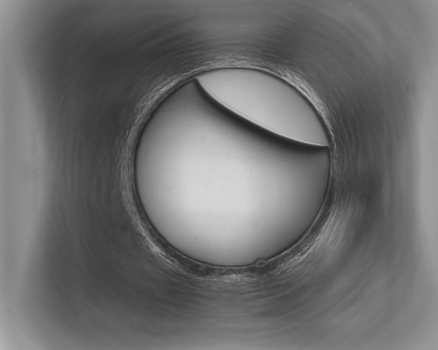X0000113370433200909151030