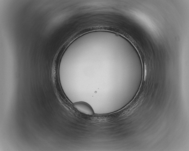 X0000113370435200909151030