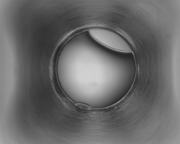 X0000113370436200909151030