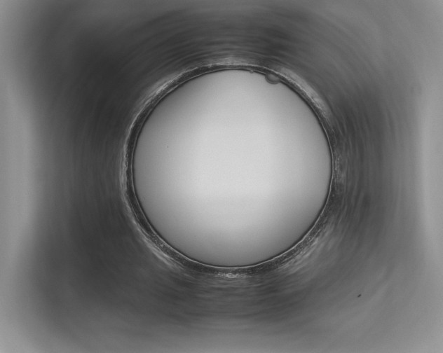 X0000113370437200909151030