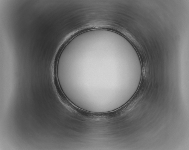 X0000113370438200909151030
