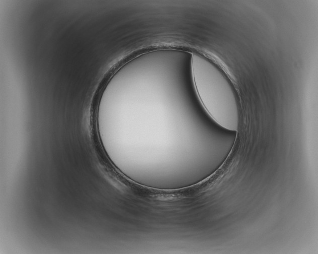 X0000113370439200909151030