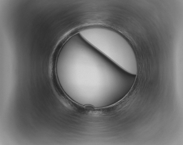 X0000113370440200909151030