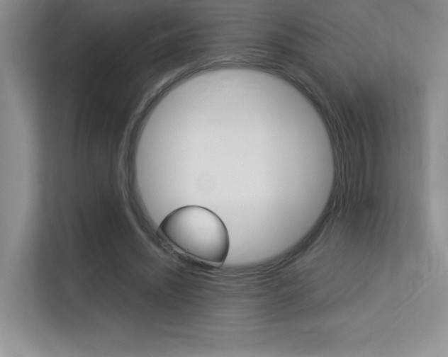 X0000113370444200909151030
