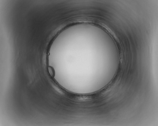 X0000113370445200909151030