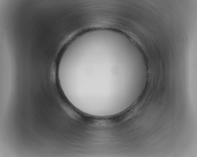 X0000113370446200909151030
