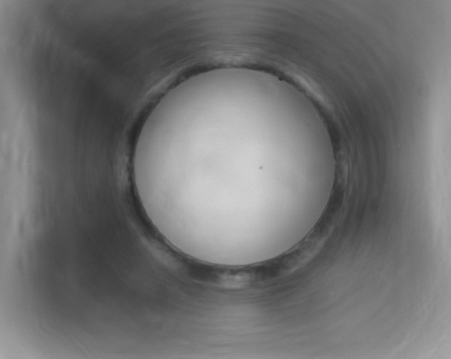 X0000113370450200909151030