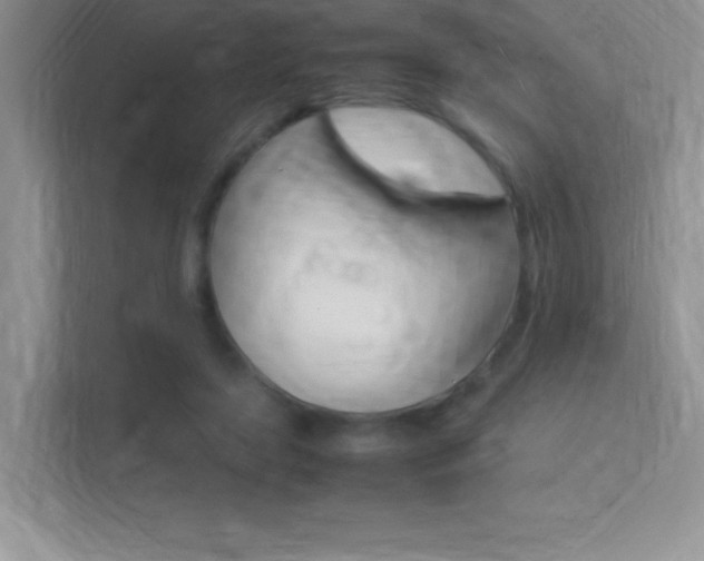 X0000113370451200909151030