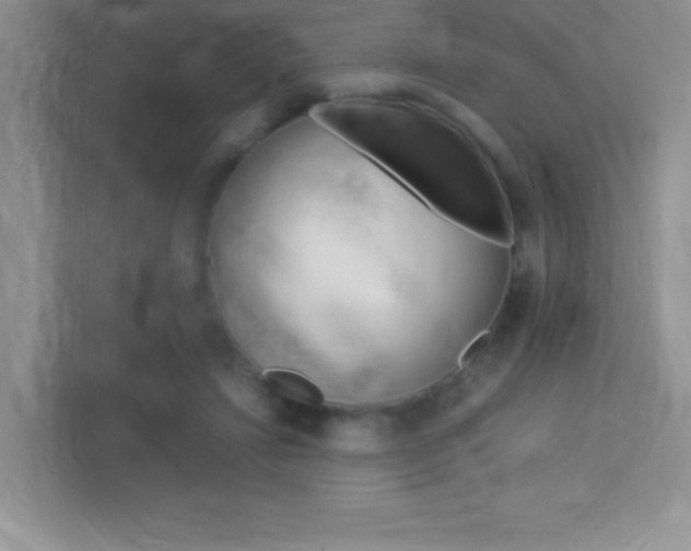 X0000113370452200909151030