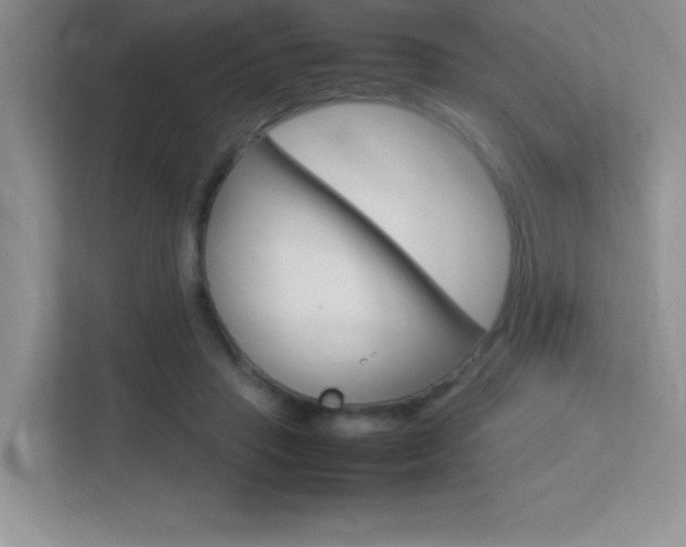 X0000113370453200909151030