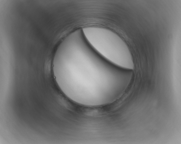 X0000113370454200909151030