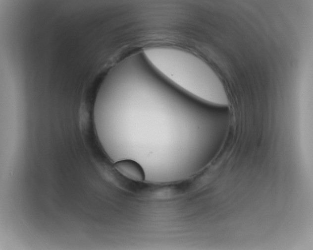 X0000113370456200909151030