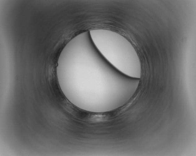 X0000113370473200909151030