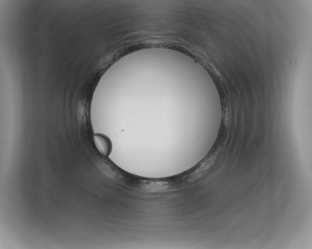 X0000113370476200909151030