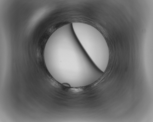 X0000113370477200909151030