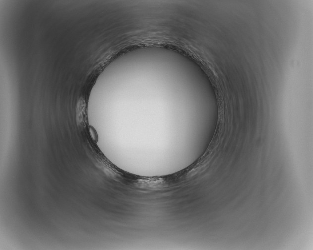 X0000113370480200909151030