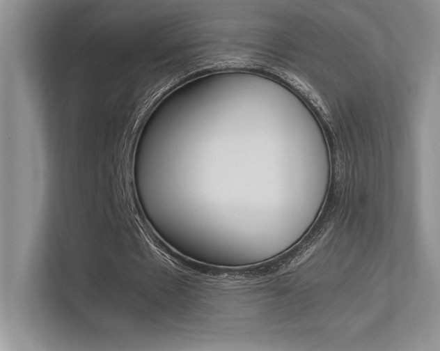 X0000113370481200909151030