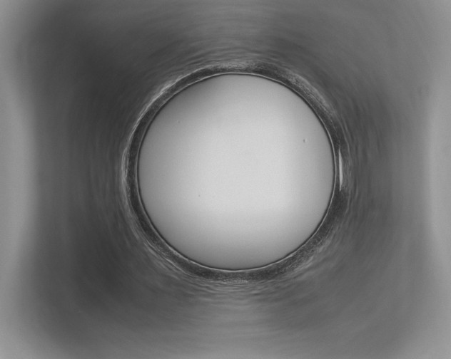 X0000113370483200909151030
