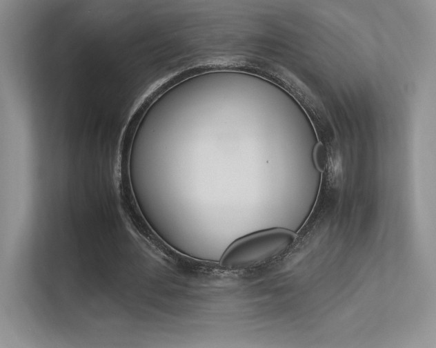 X0000113370484200909151030