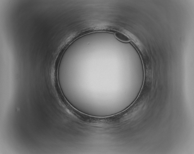 X0000113370485200909151030