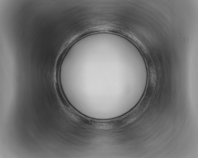 X0000113370486200909151030