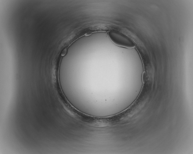 X0000113370489200909151030