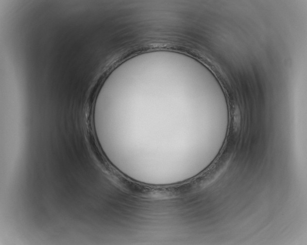 X0000113370490200909151030