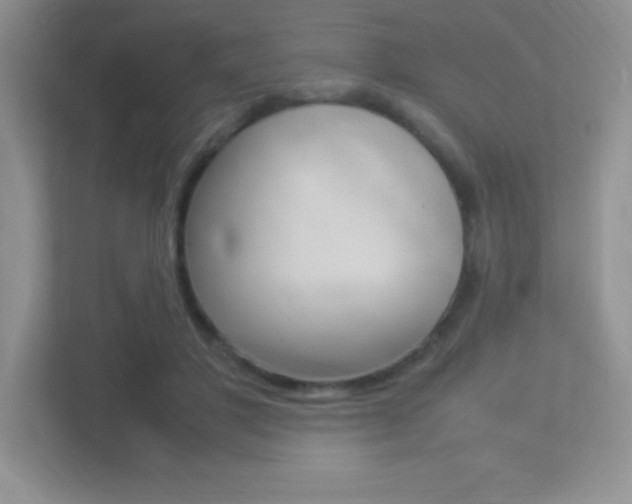 X0000113370501200909151029