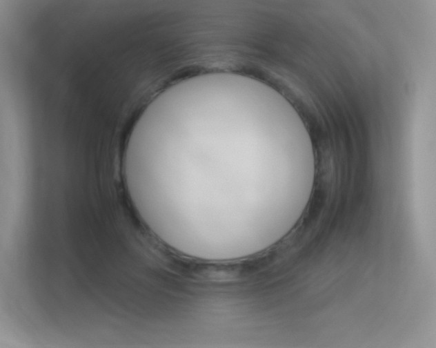 X0000113370502200909151029
