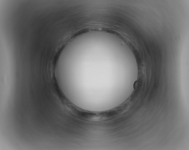 X0000113370504200909151029