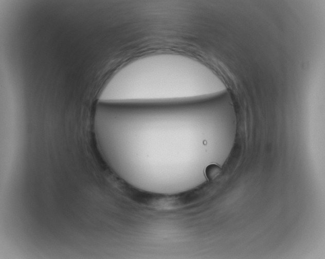 X0000113370513200909151029