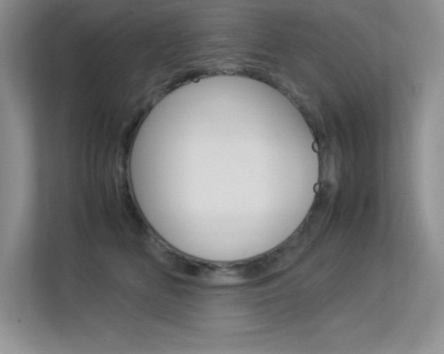 X0000113370518200909151029
