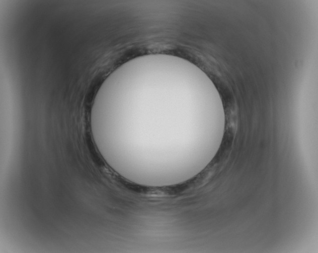 X0000113370519200909151029
