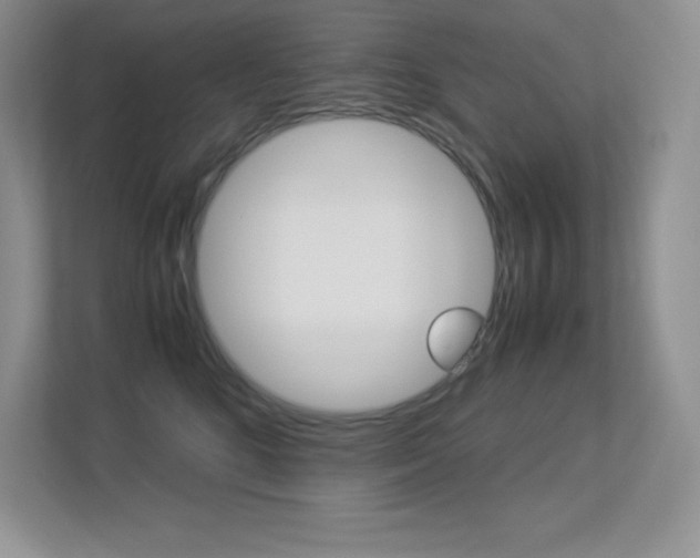 X0000113370520200909151029