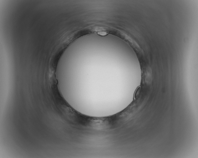 X0000113370521200909151029