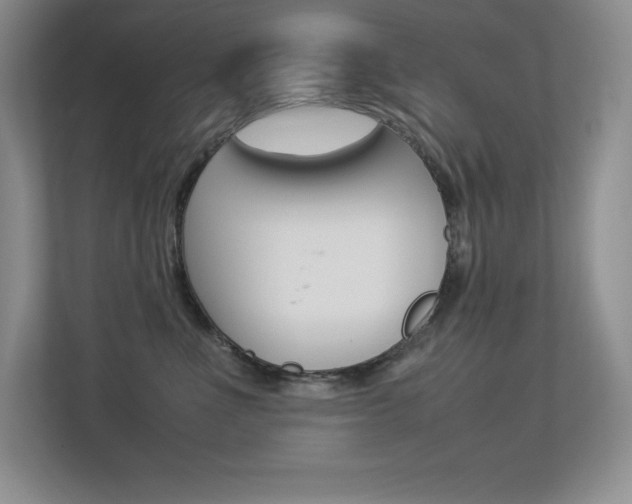 X0000113370523200909151029