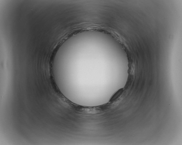 X0000113370524200909151029