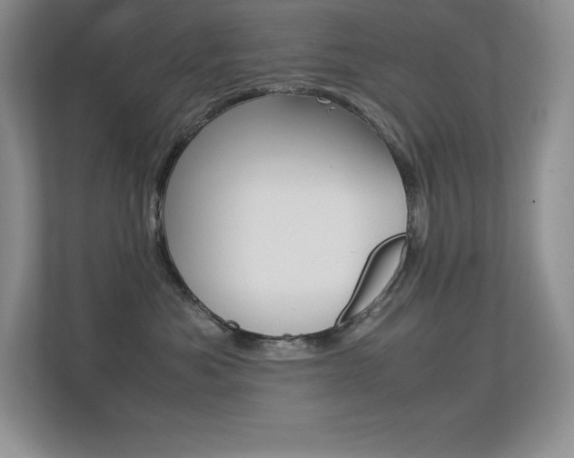 X0000113370525200909151029