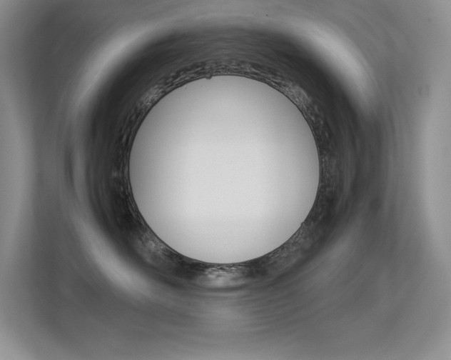 X0000113370526200909151029