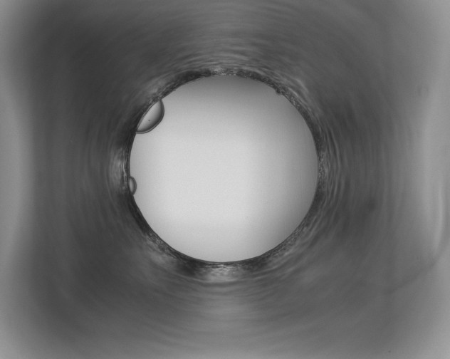 X0000113370527200909151029