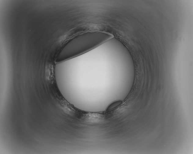 X0000113370528200909151029
