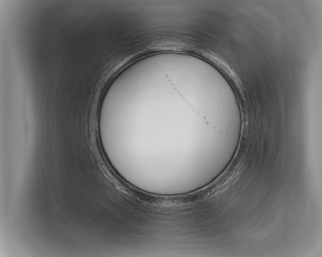 X0000113370529200909151029